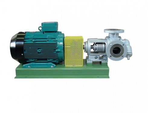 Internal gear pumps of RH+ series for heat carries